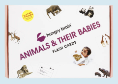 Hungry Brain Animals & Their Babies Flash Cards (Purchase)